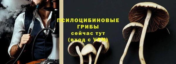 круглые Аркадак