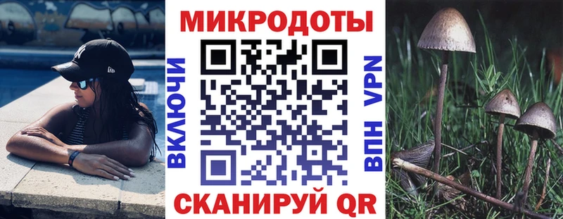 закладка  Учалы  Галлюциногенные грибы GOLDEN TEACHER 