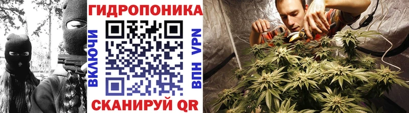 Каннабис семена Учалы